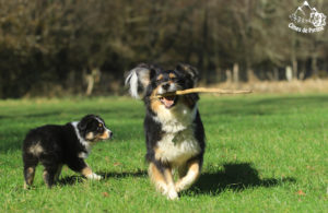 Read more about the article Derniers moments avec Maman !
