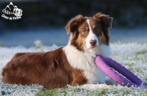 Read more about the article 15 mois !