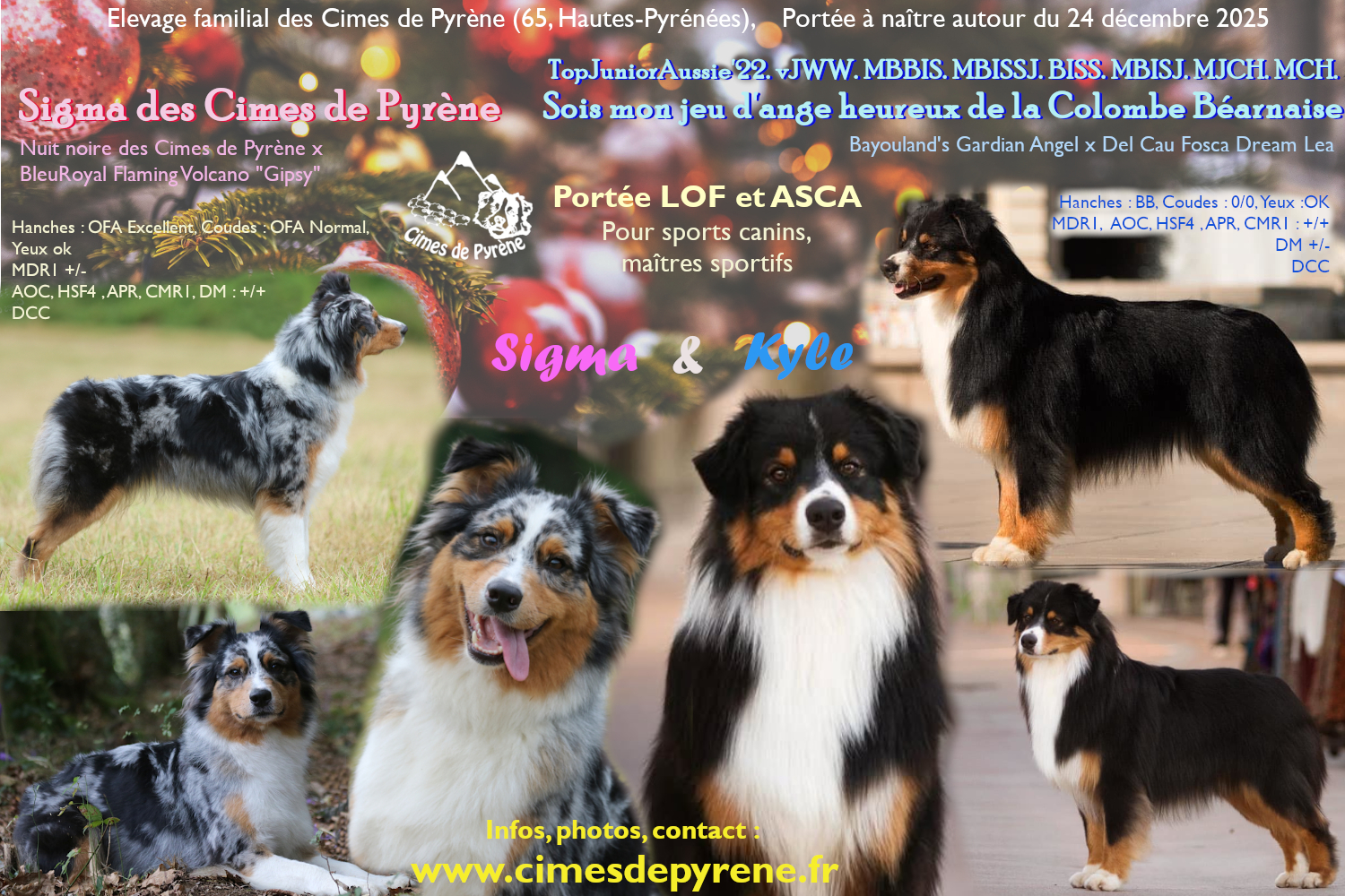 You are currently viewing Liste au Père Noël…