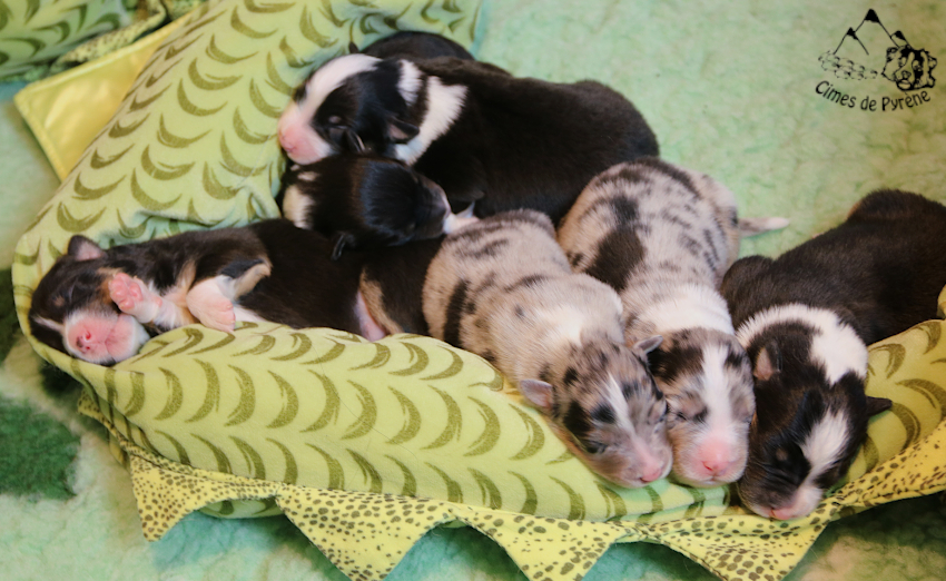 Read more about the article Tout baigne !