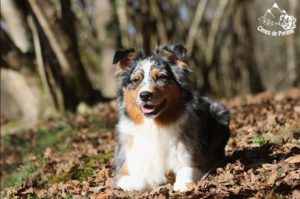 Read more about the article Joyeux anniversaire Maman !