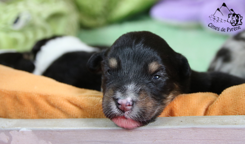 Read more about the article 2 semaines