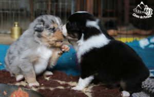 Read more about the article 4 semaines : on change !