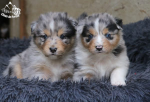 Read more about the article 1 mois !