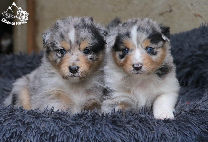 You are currently viewing 1 mois !