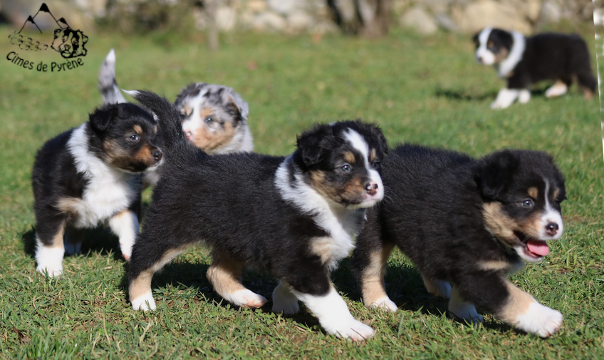 Read more about the article Entre les gouttes…