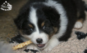 Read more about the article Balades etc…