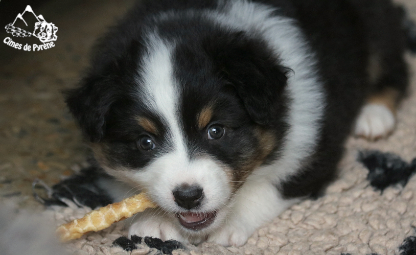 You are currently viewing Balades etc…