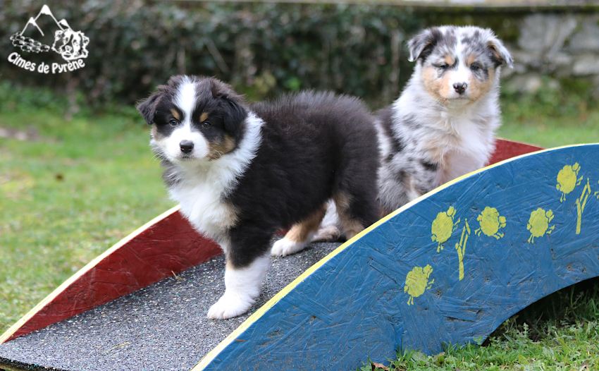 Read more about the article Entre deux averses…