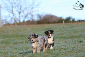 Read more about the article A bientôt Maman !