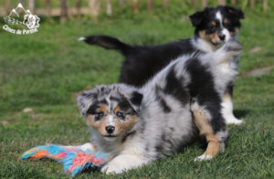 Read more about the article Nouvelles aventures en vue !