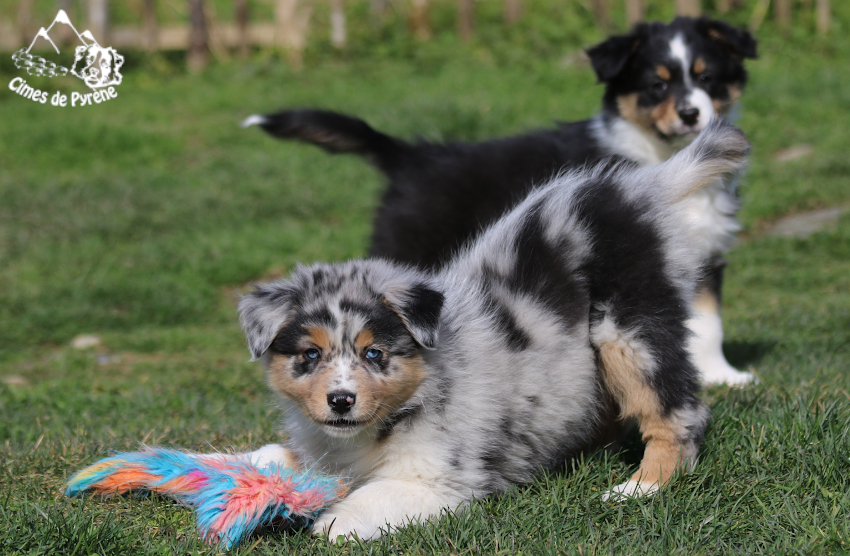 Read more about the article Nouvelles aventures en vue !