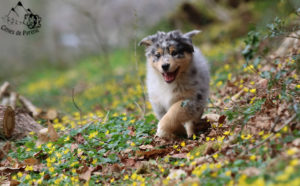 Read more about the article C&rsquo;est parti pour Astral !