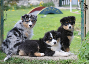 Read more about the article En attendant nos familles…