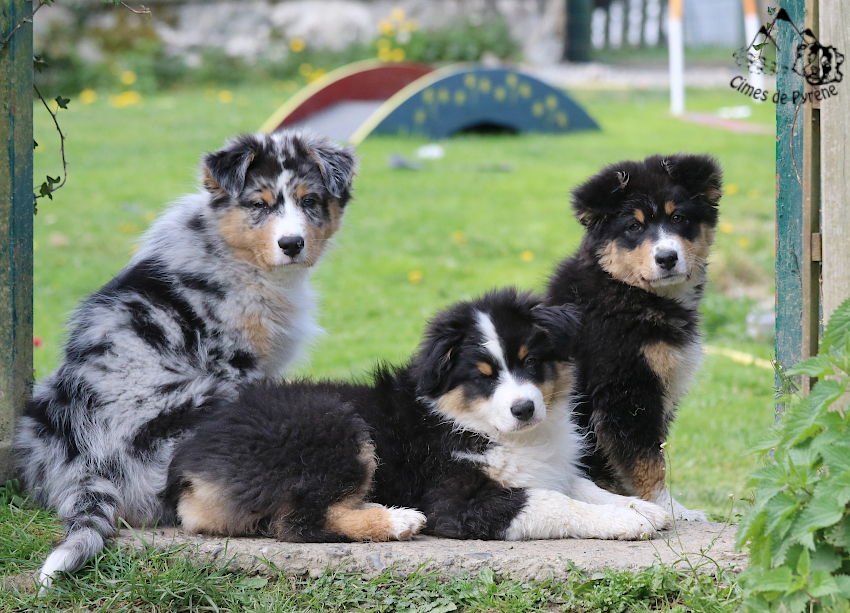 Read more about the article En attendant nos familles…