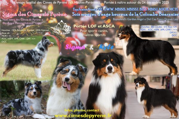 SSUCv3H4sIAAAAAAAACpxW246bMBB9r9R/iHhuJF+42P2VVR8MmGCFYGSbTaPV/nsHCFnwZLtV32A4zMyZ+9v3b4dDUipvquTn4W16g3fTdaMPTgVjexCTH3e5032t3Vby6nhOtgJdm2CdUd1WWKpQtb26aBD2Y9dN4vf5Y+KDCqPXfmNddepyg3e6/u7bMQTtfLDVeSuvnVYXH8ys9yEtzWlGDq0NdvqwsVapoE/g3s7eyv5leT+sH+aP8Ad8SpK79sWfsZxlq2hR/l9/Lg+/Vt/VSffVxP3tfeO1051WS4xeFmhyvkJALnsWXbclkVCaEl4kkYVSjWWnd8CCyIwinFZjMM241ymKghAEtWfd7mA5yVOOYb8jEJMZAjlzasMex6hANCoISQkFGjGRlNLPoEstb+2nXCJw64wPF+X30DyVGGr7vfWciTyPUbWu9KWcm2aTGiZYzp9A7R6X8yKTT2HAvN5Tzxlnn0AR87+oNa/6X/R6c4p0UkaQzkZ7rPBZjhoTEZdZiqw2495kIZ7U7ck0+/IBqkWapwhnOxTANH+G0hFRxomIca3tTK1ucd0y5F43lTcuLmT4op27fR23Hoani6qQZASVVq+vkW9MoJD0trT13qiUkqDes24a5X34uqYGVZ1hpH3d9oNyIYoeYQTRHQxqOYl5uKg1pgGCQaYs47YoUoES4VUfVJSvjKKYeBjQsbpn+V9w83bcDQ6GNUJMztGklhmhgiIusEP37ZMJwinKhh/dANMtTgfFkwhWP6zxeGxA/QnxxNMHOqL1OV7HWSwEitS1NdF0n/KIKudqetiEcTglWlK/45kO/c5Qtq9ODREHXnAUn5uOAk4JEewxsDarW421sZst/Wor1U2O8A0IslKZ/jSv/UViQzuTWn+r7NiHeSA87omks3ZQyy5vQKd+zCLlPcDrVb4xVMFVZy8bO70N81lx15rUy0ZNKOeUMAYnhGApzzhMnu251sKOtLM7q4Pj0FlVz433uIE+DjloGZjBXLDHLYRuuhWSfkD2590CSGn+AUCX3h2Tzyff/bp63JkANPV8Md1FZvI2KZu01jKVR5FpdUwzIo6yKdJjTRrOWdXIQk0V/P4HAAD//wMAuaUqMioLAAA=